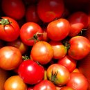 매골농장 이미지