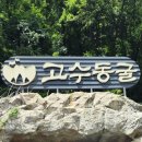 고수1로 | 단양 고수동굴 아이랑 방문 후기 | 입장료부터 주차, 소요시간, 계단 난이도까지