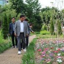 정원야생화 이미지