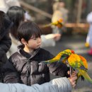 송산리 고분군 쉼터화장실 | 가평 아이와 가볼만한곳 베고니아새정원 자연 체험 카페 후기