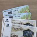 만 마리의 호랑이 | 경북 봉화 호랑이가 사는 국립백두대간수목원 입장료 트램 후기