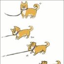 너와의 산책 이미지