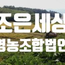 조은세상영농조합법인 이미지