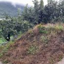 남전농장 이미지