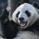 린생사진관 이미지