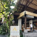 호텔 스테이지도어 | 인도네시아 발리 가성비 숙소 알라야 리조트 우붓 디럭스룸 추천 후기 (레이트체크인, 수영장)