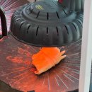 동원대게수산식당 이미지