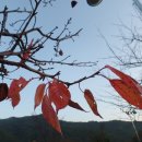 장흥군민회관 이미지