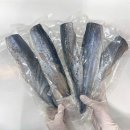 청년고등어 이미지