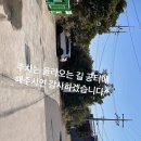 표선백사로 이미지