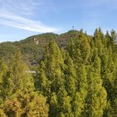 장태산휴양림 이미지