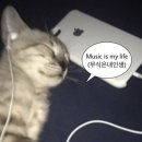 헌삥 이미지
