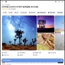 경준농장 | 조슈아트리 투어 국립공원 별 날씨 어드벤쳐 가격 할인 마리트 특가
