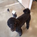 제연동물병원 이미지