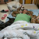 프불하우스 이미지