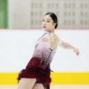 유영스포츠주 이미지