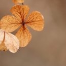 KS 행정사 사무소 이미지