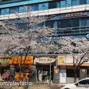 보미플라자 이미지