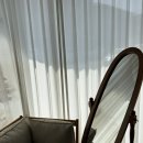 비아로 | 일산반려동물스튜디오 ::스튜디오 핍:: 반려견과 촬영후기