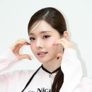 프리지아 이미지