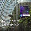 싱가포르 시원한 실내 여행지 추천! 가든스 바이 더 베이 방문 후기 (ft. 슈퍼트리쇼)