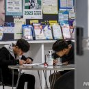 세종고용복지플러스센터 이미지