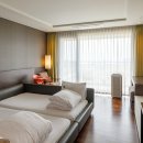 디 아넥스 이미지