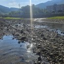 물돌이펜션리조트 이미지