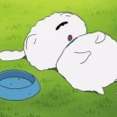 꽃지삼성 이미지