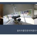 예스필의원 이미지