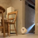 새마을로5길-2 이미지