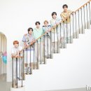 팝팝 이미지