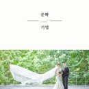 장가반상 이미지