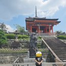 행운비디오1분점 | [오사카·교토 여행 Day2] 교토 기요미즈데라·니조성 관람 후기