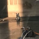 광생주유소 이미지