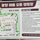 자미애견 이미지