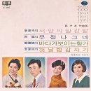 무정 나그네 / 여운 (1969) 이미지