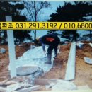 국화도 관광객 이미지