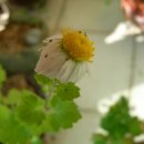 들마루집 이미지