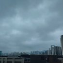 하늘땅바람 이미지