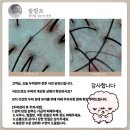 부산헤드스파 광안리두피관리 숲칼프 광안점 경남교육지사