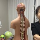 오산 비에스테라피 다스림센터 피부 체형교정 마사지 / 위치, 후기, 가격