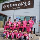 초곡경희대태권도장 이미지