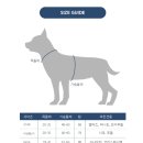 땡스독 이미지