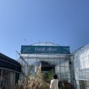 오아시스데코