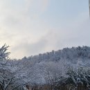 눈편안세상 이미지