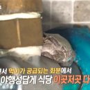 금복농장 이미지