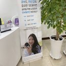 연세스마일치과의원 이미지