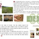 달인명품한우 이미지