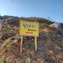 화태바다 이미지